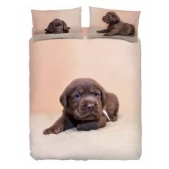 Completo Copripiumino Chocolate Di Bassetti Matrimoniale K621