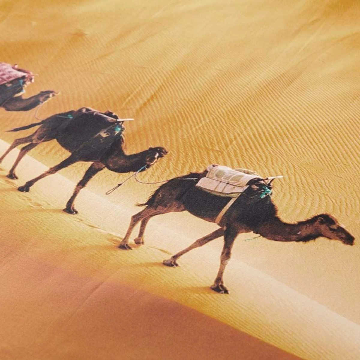 Completo Copripiumino Sukha 759 Di Manterol Per Letto Matrimoniale J470 - immagine 3