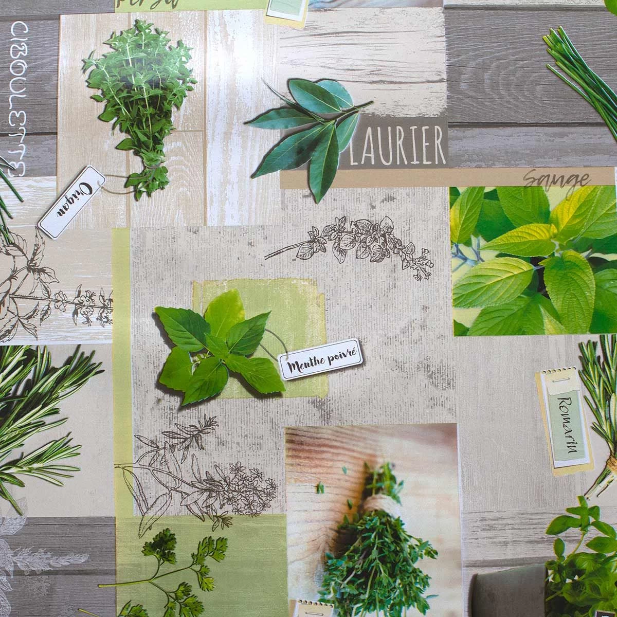 Proteggitavolo Mollettone Al Metro Botanic In Pvc Altezza 140 Cm Y211 - immagine 3