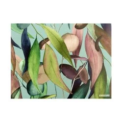 Tovaglietta Clorofilla Di Bassetti In Pvc 30x40 Cm J103