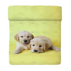 Trapunta Piumone Invernale Bff Di Bassetti Matrimoniale Due Piazze Z597